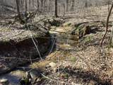 5849 Catholic Church Rd - Photo 95