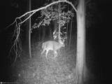 0 Kirby Hill Rd - Photo 12