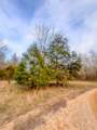 0 Johnson Mill Branch Road - Photo 16