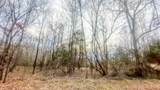 0 Johnson Mill Branch Road - Photo 18