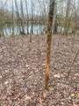 0 Johnson Mill Branch Road - Photo 21