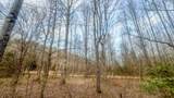 0 Johnson Mill Branch Road - Photo 23