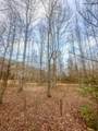 0 Johnson Mill Branch Road - Photo 24