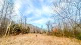 0 Johnson Mill Branch Road - Photo 31