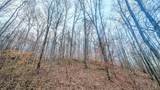 0 Johnson Mill Branch Road - Photo 38