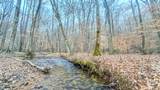 0 Johnson Mill Branch Road - Photo 46