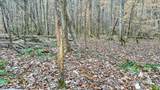 0 Johnson Mill Branch Road - Photo 47