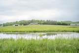 521 Coop Rd - Photo 2