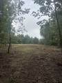 113 Chestnut Drive - Photo 14