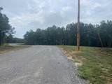 113 Chestnut Drive - Photo 3