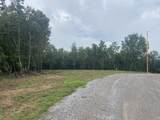 113 Chestnut Drive - Photo 5