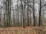 501 Browns Gap Road - Photo 2