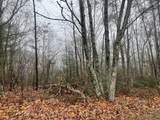 501 Browns Gap Road - Photo 4