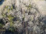 0 Lobelville Highway - Photo 1