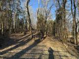 0 Lobelville Highway - Photo 11