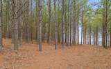1251 Mullins Point - Photo 12