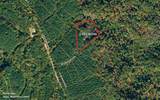 1251 Mullins Point - Photo 8