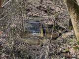 1491 Cates Rd - Photo 46