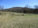 3800 Patton Hollow Rd - Photo 13