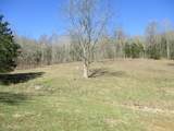 3800 Patton Hollow Rd - Photo 10