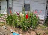 23 Richardson Ave - Photo 10