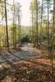 1640 Old Alabama Road - Photo 2