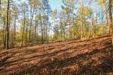 1640 Old Alabama Road - Photo 6