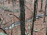0 Claiborne View Rd - Photo 15