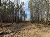 0 Old Mail Road - Photo 4