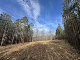 0 Old Mail Road - Photo 5