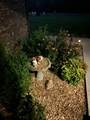 265 Parker Rd - Photo 40