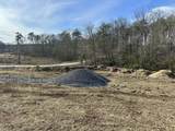 0 Lewis Chapel Road - Photo 31