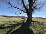 415 Viola Rd - Photo 6