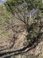 0 Davis Hollow - Photo 1