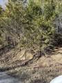 0 Davis Hollow - Photo 2