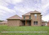 1163 Gardenia Ln - Photo 22