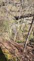0 Allen Bend Rd - Photo 17