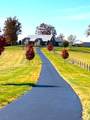 226 Naron Rd - Photo 69