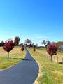 226 Naron Rd - Photo 70