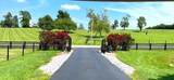 226 Naron Rd - Photo 76
