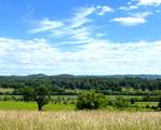 226 Naron Rd - Photo 93