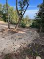 1065 Sioux Trail - Photo 11