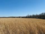 2327 Ovoca Rd - Photo 49