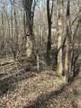 0 Buck Branch Rd - Photo 4