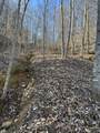 0 Buck Branch Rd - Photo 6