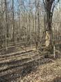 0 Buck Branch Rd - Photo 8