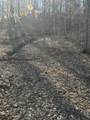 0 Buck Branch Rd - Photo 9