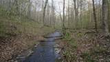 0 Waynoe Road - Photo 12