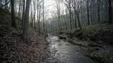 0 Waynoe Road - Photo 10