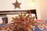2224 30th Ave - Photo 32
